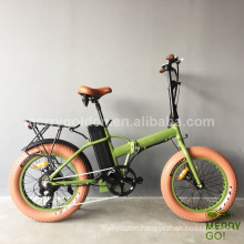 20" Aluminum Alloy Frame 36V Lithium Battery Folding E-Bike